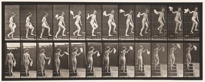 Tavla 96. Uppåtgående trappa ser sig omkring; Viftande näsduk av Eadweard Muybridge