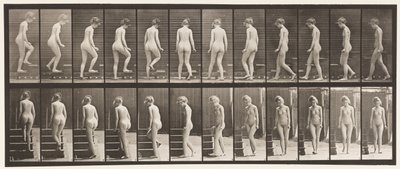 Tavla 98. Vändande och uppgående trappor, 1872-1885 av Eadweard Muybridge