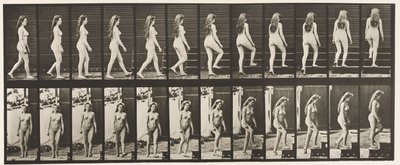Tavla 99. Sväng- och uppstigningstrappor av Eadweard Muybridge