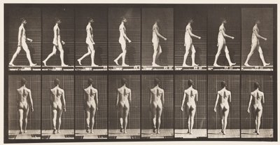 Plåt 9. Vandring, 1872-1885 av Eadweard Muybridge