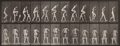 Plansch nummer 178. Att kliva upp på och över en bock av Eadweard Muybridge