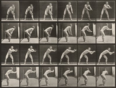 Plansch nummer 280. Baseboll, fånga bollen av Eadweard Muybridge