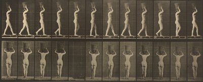Skylt nummer 34. Går och bär en 15-lb. korg på huvudet, händerna höjda av Eadweard Muybridge