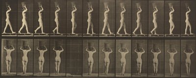 Plansch nummer 34. Gående och bärande en korg på 15 lb på huvudet, händerna höjda av Eadweard Muybridge