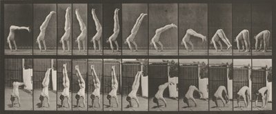 Nummerplåt 371. Acrobat, vertikal "tryck upp",1887 (foto) av Eadweard Muybridge
