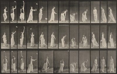 Plansch nummer 463. Sträcka sig upp, böja sig och vända sig om av Eadweard Muybridge