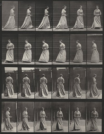  av Eadweard Muybridge