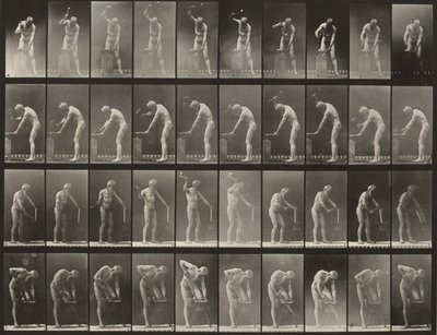Plansch nummer 491. A, B: Hamring vid ett städ. C: Användning av en yxa. D: Sågning av en bräda av Eadweard Muybridge