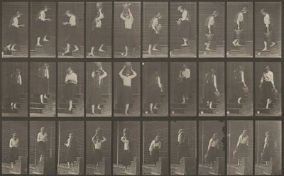 Skylt nummer 504. Upp- och nedåtgående trappor av Eadweard Muybridge