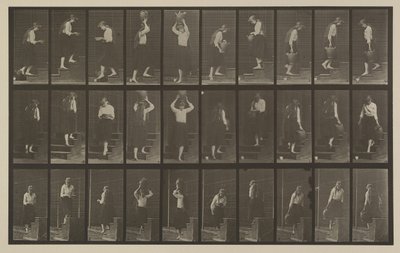 Skylt nummer 504. Upp- och nedåtgående trappor av Eadweard Muybridge