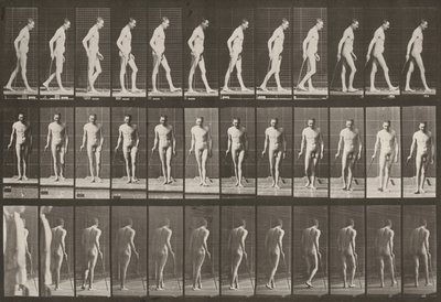  av Eadweard Muybridge