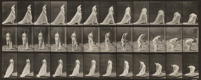 av Eadweard Muybridge
