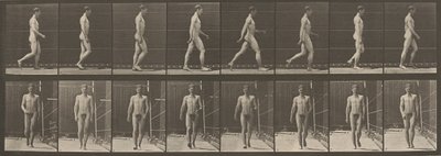 Plåt nummer 5. Gående,1887 (foto) av Eadweard Muybridge