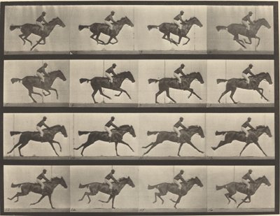 Plåtnummer 626. Galopp, fullblods buksto, Annie G. av Eadweard Muybridge