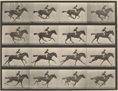 Plansch nummer 626. Galopp, fullblods brun märr, Annie G. av Eadweard Muybridge