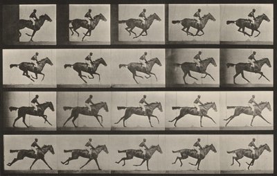 av Eadweard Muybridge