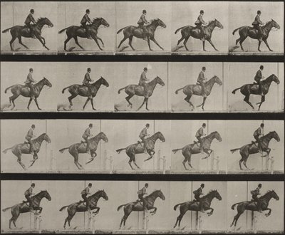 Plansch nummer 636. ”Daisy” hoppar över ett hinder, sadlad, och förbereder sig för språnget av Eadweard Muybridge