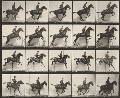 Plansch nummer 640. "Daisy" hoppar över ett hinder, sadlad av Eadweard Muybridge