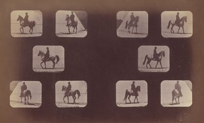 Studier av förkortningar. Hästar. Gående. Mahomet. nr 119-120 av Eadweard Muybridge