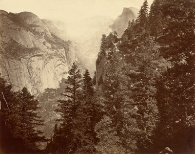 Tenaya Canyon från Union Point, Valley of the Yosemite av Eadweard Muybridge