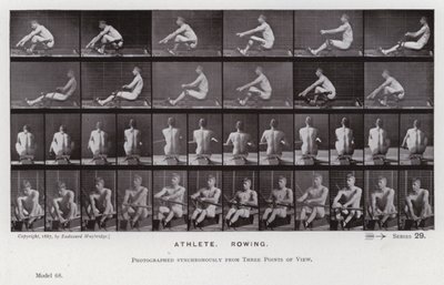 Den mänskliga figuren i rörelse: idrottare, rodd (s/v foto) av Eadweard Muybridge