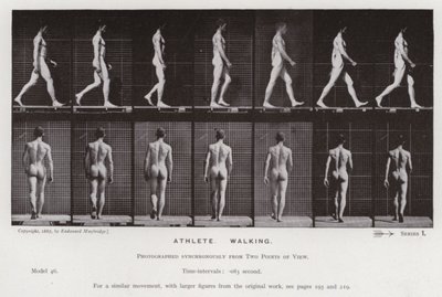 Den mänskliga figuren i rörelse: idrottare, gående (s/v foto) av Eadweard Muybridge
