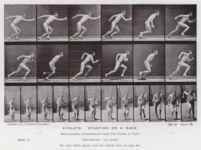 The Human Figure in Motion: Idrottsman, startande på ett lopp (s/v foto) av Eadweard Muybridge