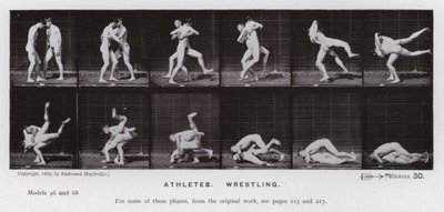 Den mänskliga figuren i rörelse: idrottare, brottning (s/v foto) av Eadweard Muybridge