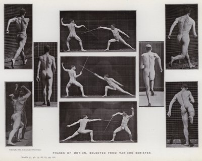 Den mänskliga figuren i rörelse: rörelsefaser, valda från olika serier (s/v foto) av Eadweard Muybridge