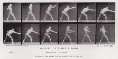 The Human Figure in Motion: Pugilist, slår ett slag (s/v foto) av Eadweard Muybridge