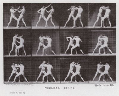 The Human Figure in Motion: Pugilists, Boxing (s/v foto) av Eadweard Muybridge