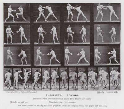 The Human Figure in Motion: Pugilists, Boxing (s/v foto) av Eadweard Muybridge
