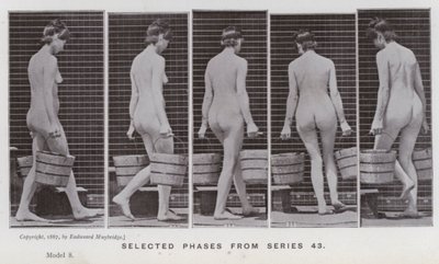 The Human Figure in Motion: Valda faser från serie 43 (s/v foto) av Eadweard Muybridge
