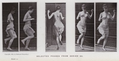 The Human Figure in Motion: Valda faser från serie 55 (s/v foto) av Eadweard Muybridge