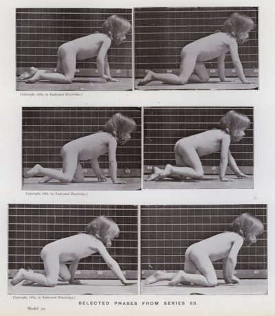The Human Figure in Motion: Valda faser från serie 83 (s/v foto) av Eadweard Muybridge