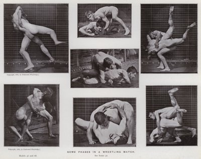 Den mänskliga figuren i rörelse: Några faser i en brottningsmatch (s/v foto) av Eadweard Muybridge