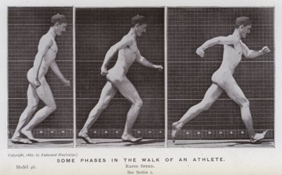 Den mänskliga figuren i rörelse: Några faser i en idrottsmans gång (s/v foto) av Eadweard Muybridge