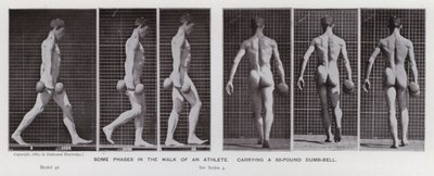 Den mänskliga figuren i rörelse: Några faser i en idrottsmans promenad som bär en hantel på 50 pund (s/v foto) av Eadweard Muybridge