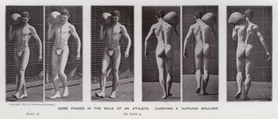 Den mänskliga figuren i rörelse: Några faser i en idrottsmans gång som bär på en sten på 75 pund (s/v foto) av Eadweard Muybridge