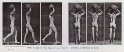 Den mänskliga figuren i rörelse: Några faser i en idrottsmans promenad som bär på ett stenblock på 75 pund (s/v foto) av Eadweard Muybridge