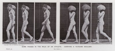 Den mänskliga figuren i rörelse: Några faser i en idrottsmans promenad som bär på ett stenblock på 75 pund (s/v foto) av Eadweard Muybridge
