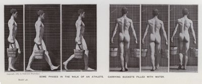 Den mänskliga figuren i rörelse: Några faser i en idrottsmans gång som bär hinkar fyllda med vatten (s/v foto) av Eadweard Muybridge