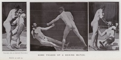 The Human Figure in Motion: Några faser av en boxningsmatch (s/v foto) av Eadweard Muybridge
