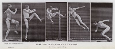 Den mänskliga figuren i rörelse: Några faser av att springa höjdhopp (s/v foto) av Eadweard Muybridge