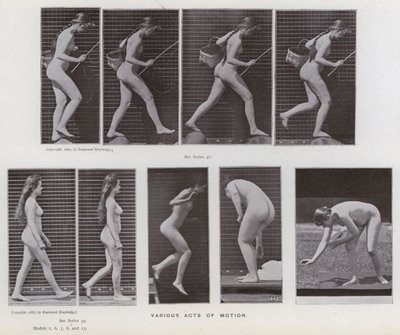 Den mänskliga figuren i rörelse: Olika rörelsehandlingar (s/v foto) av Eadweard Muybridge