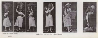 Den mänskliga figuren i rörelse: Olika faser av rörelse (s/v-foto) av Eadweard Muybridge