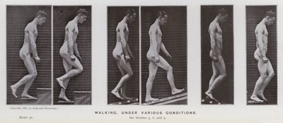 Den mänskliga figuren i rörelse: Gå, under olika förhållanden (s/v foto) av Eadweard Muybridge