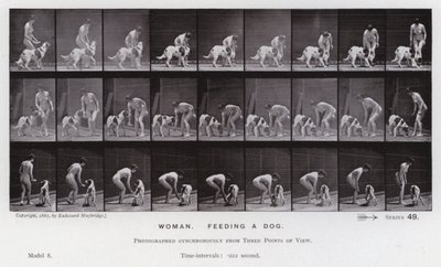 Den mänskliga figuren i rörelse: Kvinna som matar en hund (s/v foto) av Eadweard Muybridge