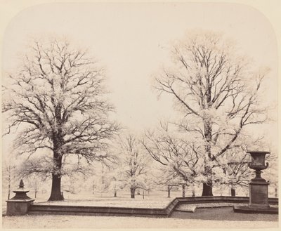 Rimfrost, en parkscen av Earl of Caithness