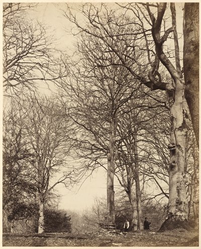 Drottning Adelaides bok,1864 (foto) av Earl of Caithness
